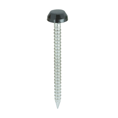TIMCO Polymer Headed Pins A4 Stainless Steel Black - 30mm (250pcs)