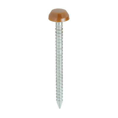 TIMCO Polymer Headed Pins A4 Stainless Steel Clay Brown - 30mm (250pcs)