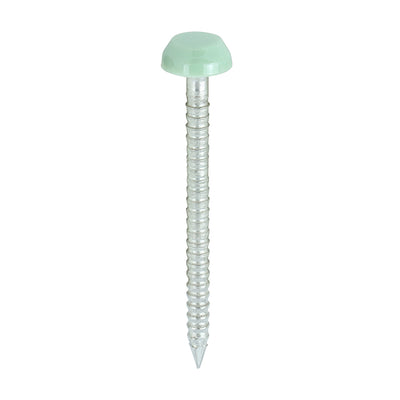 TIMCO Polymer Headed Pins A4 Stainless Steel Chartwell Green - 30mm (250pcs)