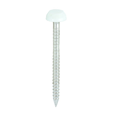TIMCO Polymer Headed Pins A4 Stainless Steel White - 30mm (250pcs)
