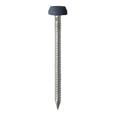 TIMCO Polymer Headed Pins A4 Stainless Steel Anthracite Grey - 40mm (250pcs)