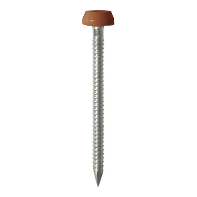 TIMCO Polymer Headed Pin A4 Stainless Steel Clay Brown - 40mm (250pcs)