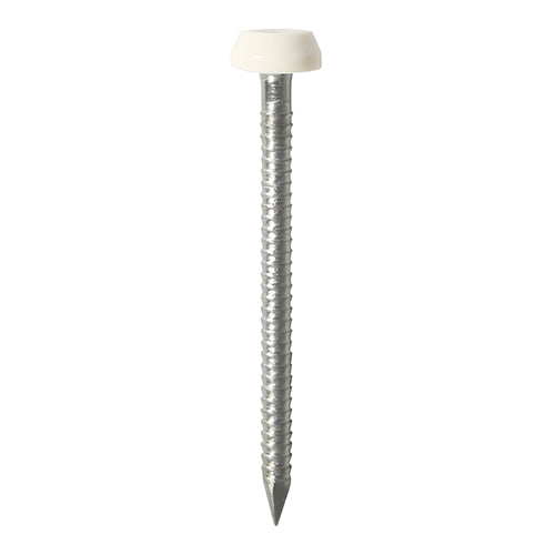 TIMCO Polymer Headed Pins A4 Stainless Steel White - 40mm (50pcs)