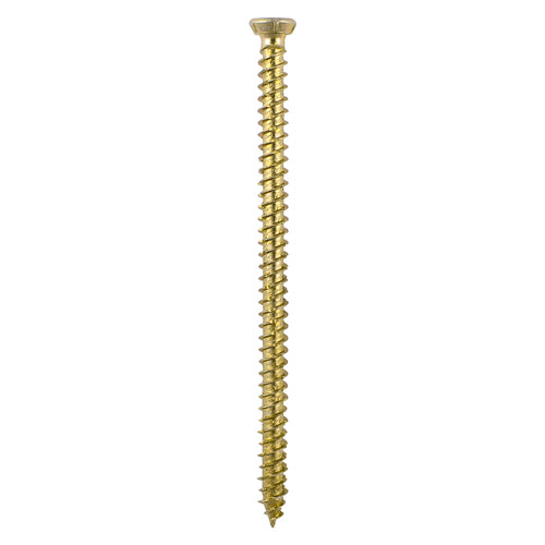 TIMCO Concrete Screws Flat Countersunk Gold - 7.5 x 50 (100pcs)