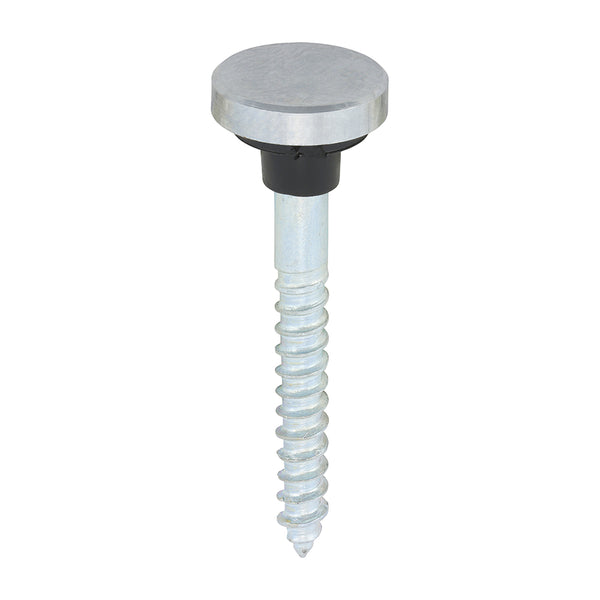 TIMCO Mirror Screws Flat Head Chrome - 8 x 1 1/2 (8pcs)