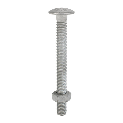 TIMCO Carriage Bolts DIN603 & Hex Full Nuts DIN934 Hot Dipped Galvanised - M8 x 130 (50pcs)