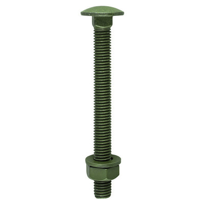 TIMCO Carriage Bolts DIN603 Hex Nuts & Form A Washers Green Exterior - M10 x 100 (10pcs)