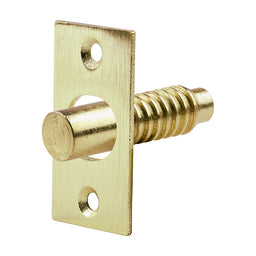 TIMCO Hinge Bolt Electro Brass - 48mm (2pcs)