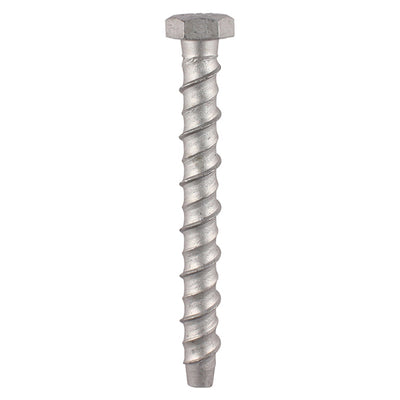 TIMCO Multi-Fix Bolts Hex Head Exterior Silver - 10.0 x 100 (12pcs)