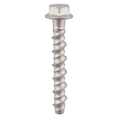 TIMCO Multi-Fix Bolts Hex Flange Head Exterior Silver - 6.0 x 100 (100pcs)