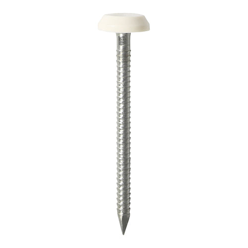 TIMCO Polymer Headed Nails A4 Stainless Steel White - 40mm (100pcs)