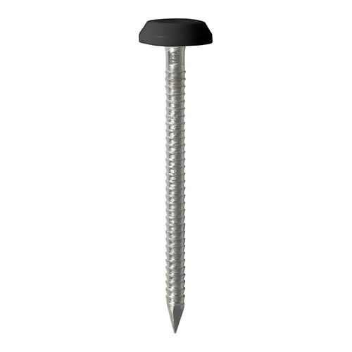 TIMCO Polymer Headed Nails A4 Stainless Steel Black - 50mm (25pcs)