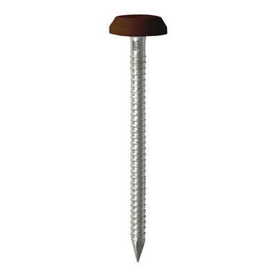 TIMCO Polymer Headed Nails A4 Stainless Steel Mahogany - 50mm (100pcs)