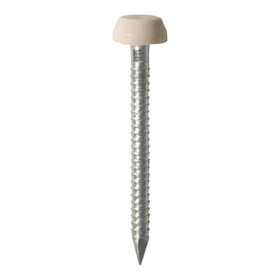 TIMCO Polymer Headed Pins A4 Stainless Steel Beige - 25mm (250pcs)