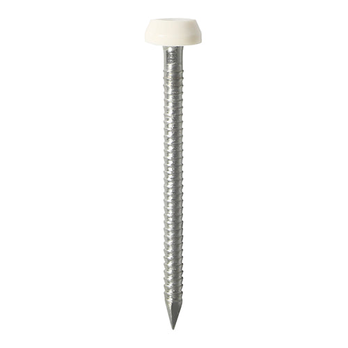 TIMCO Polymer Headed Pins A4 Stainless Steel White - 25mm (250pcs)