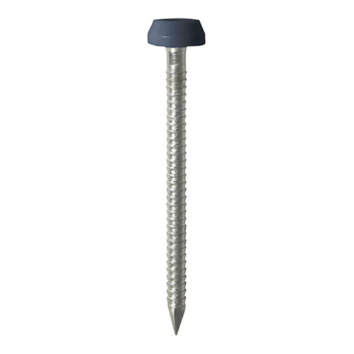 TIMCO Polymer Headed Pins A4 Stainless Steel Anthracite Grey - 30mm (250pcs)