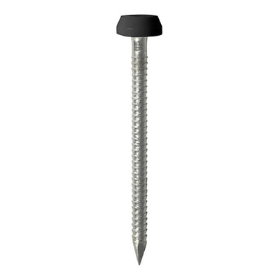 TIMCO Polymer Headed Pins A4 Stainless Steel Black - 30mm (60pcs)