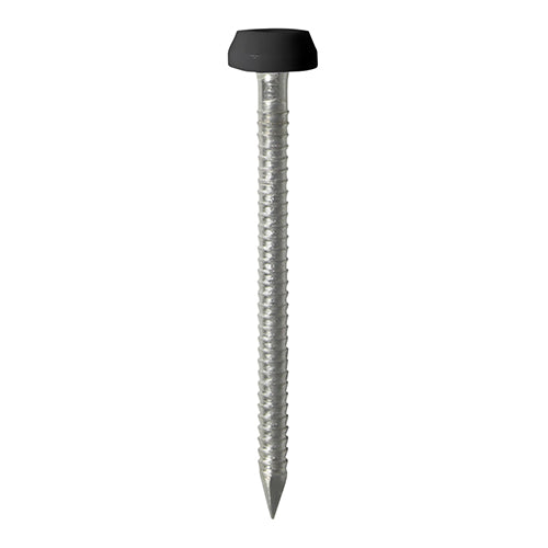 TIMCO Polymer Headed Pins A4 Stainless Steel Black - 30mm (60pcs)