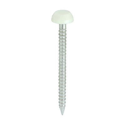 TIMCO Polymer Headed Pins A4 Stainless Steel Cream - 30mm (250pcs)