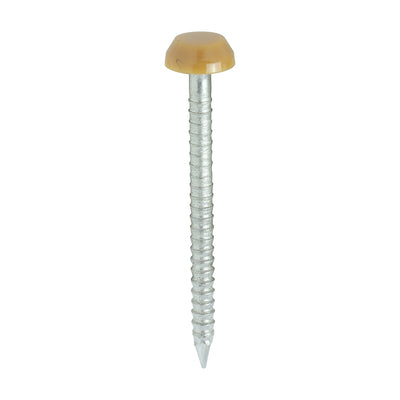 TIMCO Polymer Headed Pins A4 Stainless Steel Oak - 30mm (250pcs)