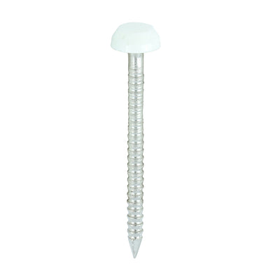 TIMCO Polymer Headed Pins A4 Stainless Steel White - 30mm (250pcs)