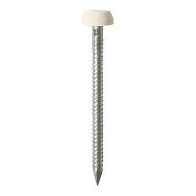 TIMCO Polymer Headed Pin A4 Stainless Steel Cream - 40mm (250pcs)