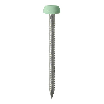 TIMCO Polymer Headed Pins A4 Stainless Steel Chartwell Green - 40mm (250pcs)