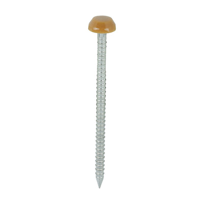 TIMCO Polymer Headed Pins A4 Stainless Steel Oak - 40mm (250pcs)