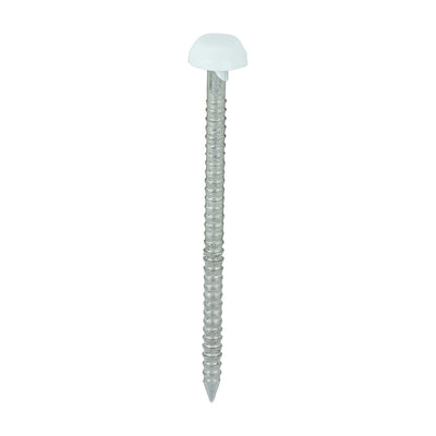 TIMCO Polymer Headed Pins A4 Stainless Steel White - 40mm (250pcs)